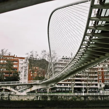Zubigane Apartment Bilbao